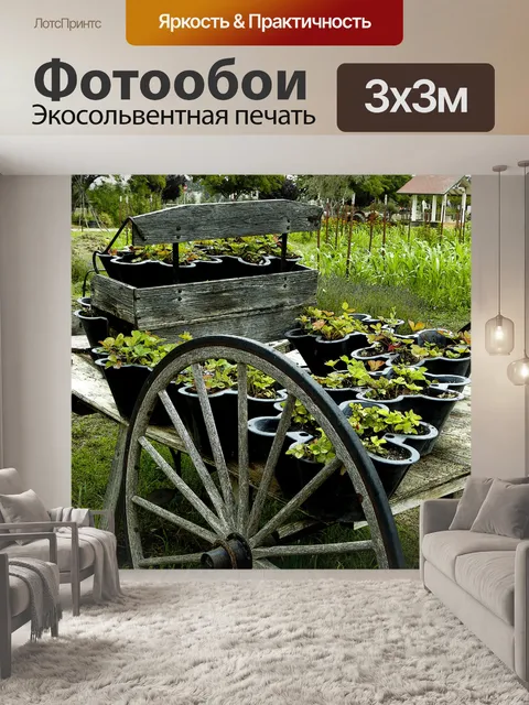 Фотообои Старинные деревянные сад универсал