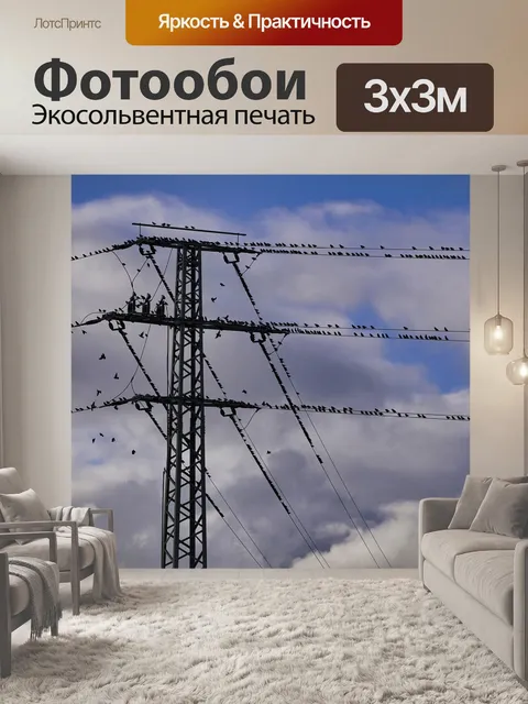 Фотообои Птицы