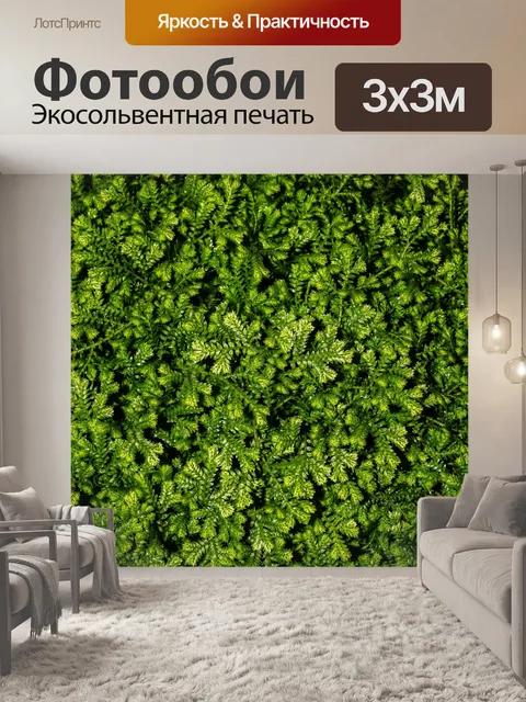 Фотообои Папоротник оставляет зеленый фон