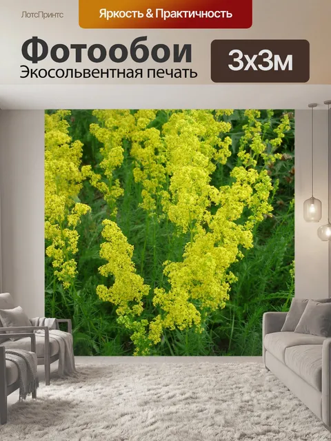 Фотообои Цветки удилища
