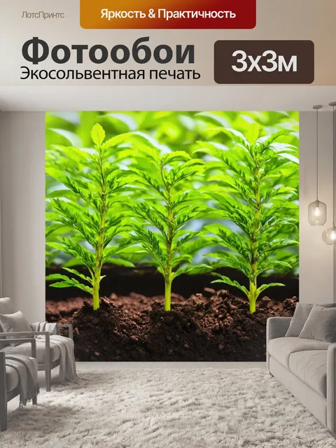 Фотообои япония, весной, когда новые побеги зеленого чая появляются из земли, создавая ощущения свежести