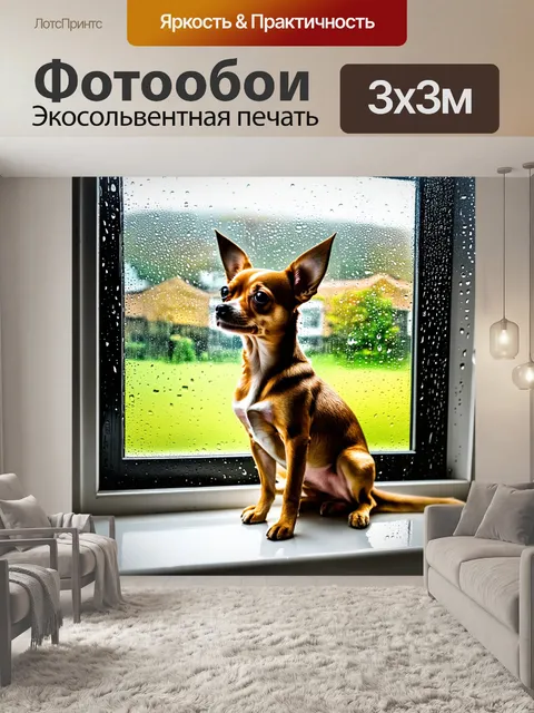 Фотообои чихуахуа, сидящий на окне, смотрящий на улицу, дождливый день, капли воды на стекле