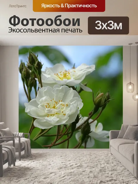 Фотообои Бобби джеймс