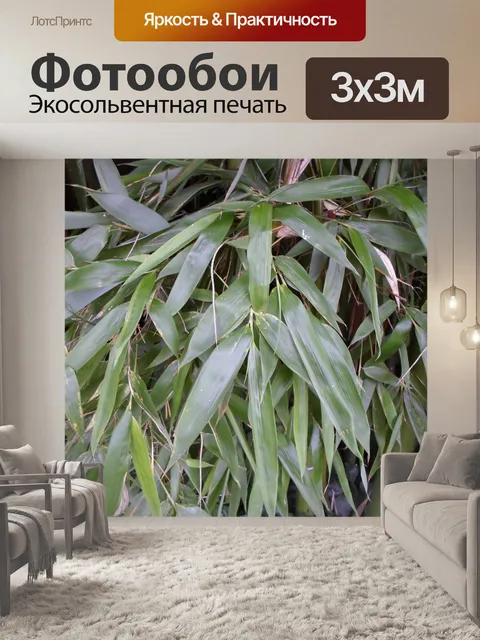 Фотообои Бамбук, зеленая листва, растительность