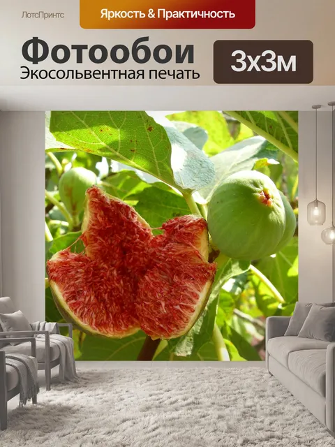 Фотообои Рис