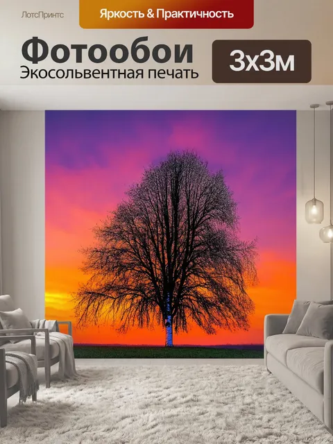 Фотообои с березой на фоне красочного заката, оранжевые и пурпурные оттенки на небе, тишина и умиротворение