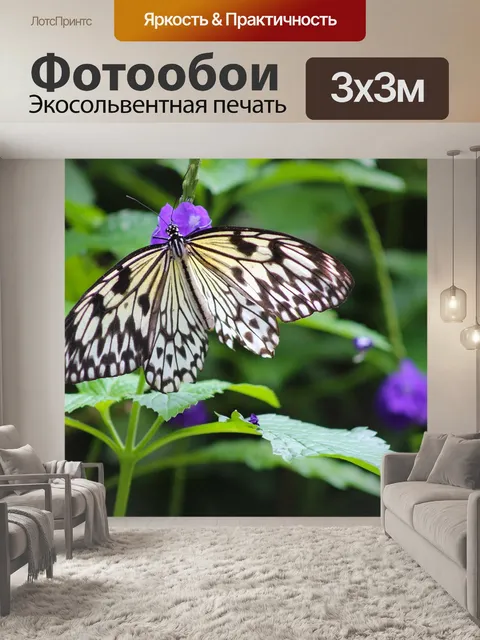Фотообои Бабочка