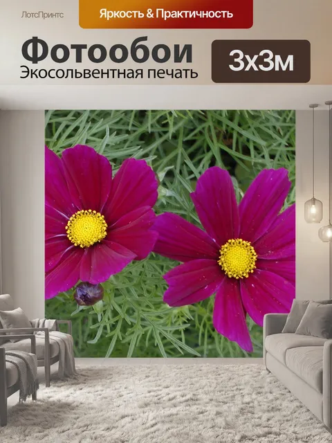 Фотообои Фиолетовый и желтые цветы
