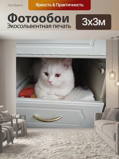 Фотообои Смешные коты
