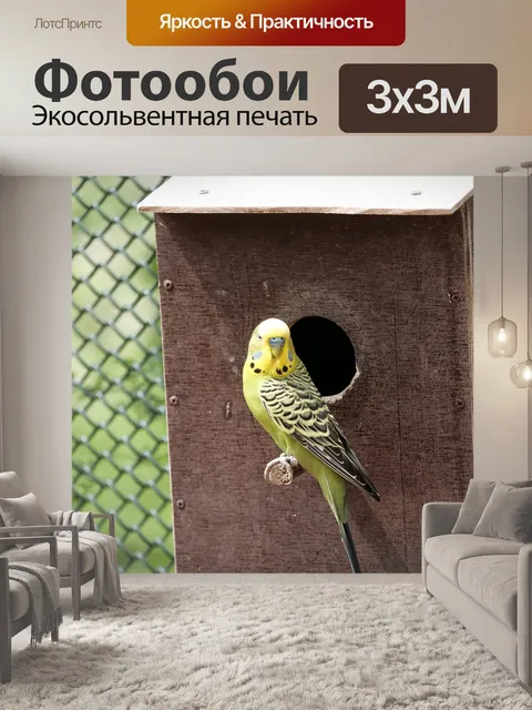 Фотообои Волнистый попугайчик
