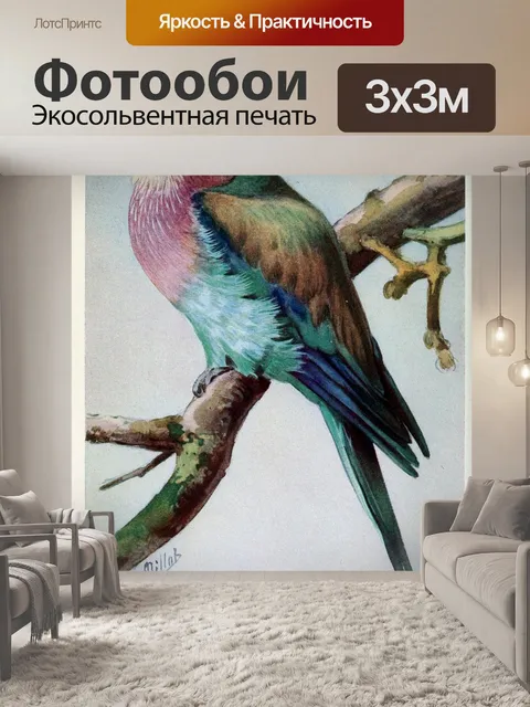 Фотообои Винтажная птица старая иллюстрация