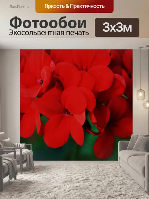 Фотообои бархат красный герань
