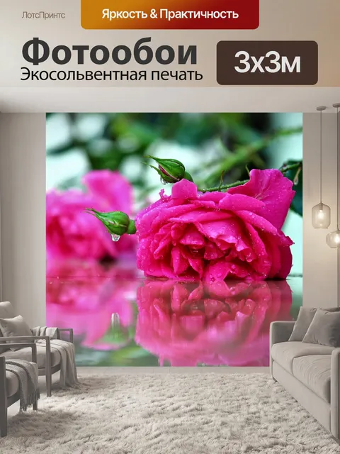 Фотообои Роуз