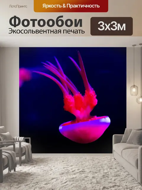 Фотообои медуза