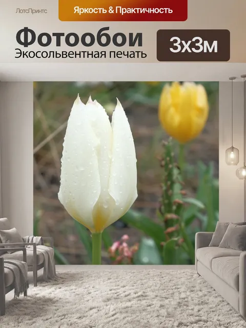 Фотообои Тюльпаны под дождем