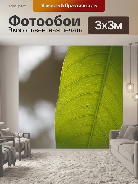 Фотообои Лист