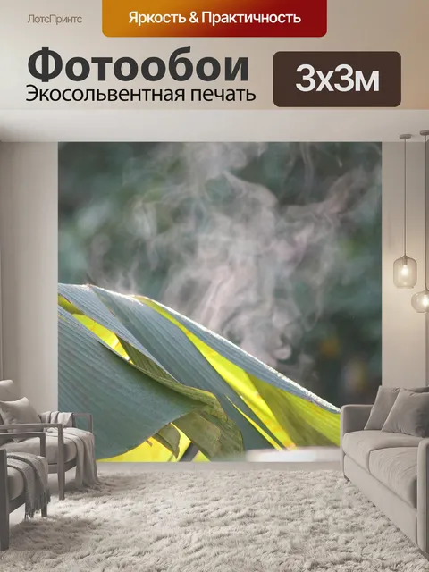 Фотообои Лист бананового дерева