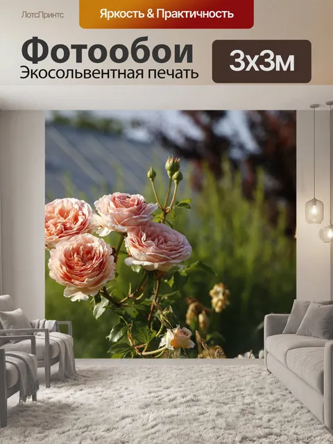Фотообои Розы