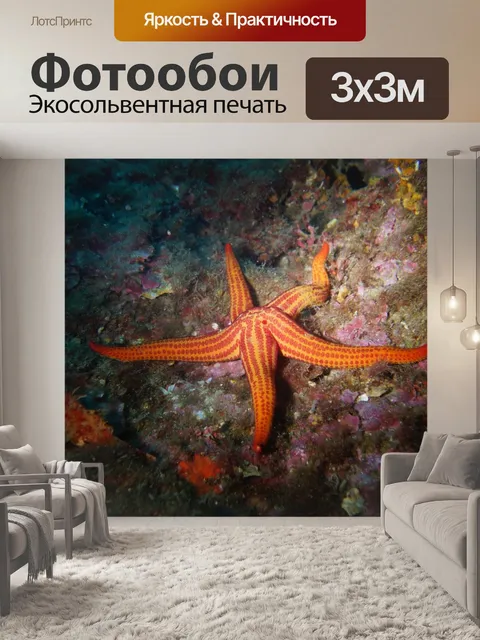 Фотообои Морское дно