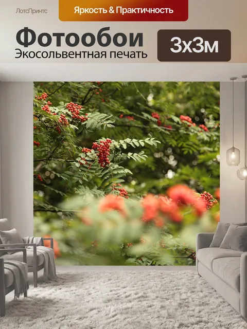 Фотообои Гроздья рябины