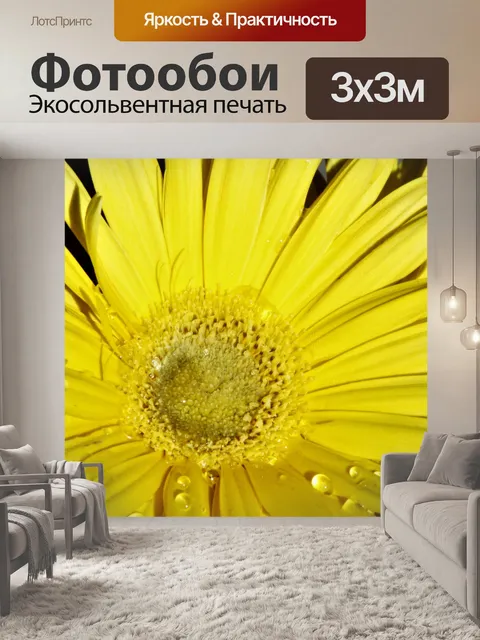 Фотообои Желтая гербера, ромашка и роса, деталь