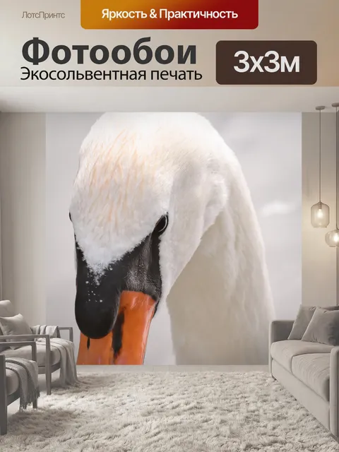 Фотообои Лебедь