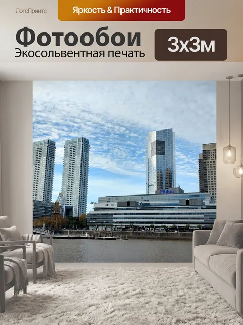 Фотообои Буэнос айрес