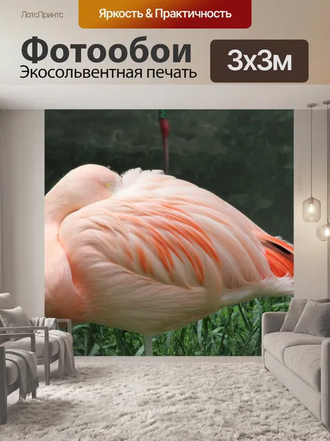 Фотообои Фламинго