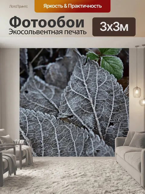 Фотообои Мороз