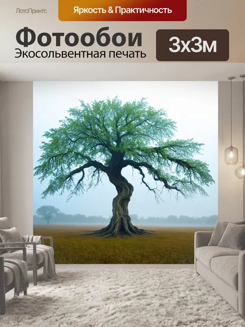 Фотообои загадочное дерево с сильно изогнутыми ветвями, окутанными утренним туманом