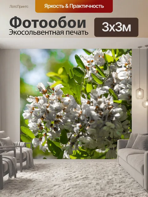 Фотообои Цветок