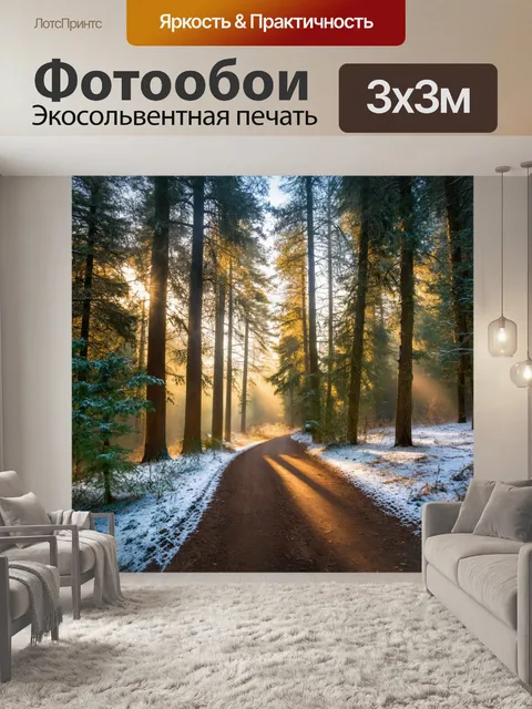 Фотообои ведущий через зимний лес, где свет пробивается сквозь кроны деревьев и падает на морозный пол