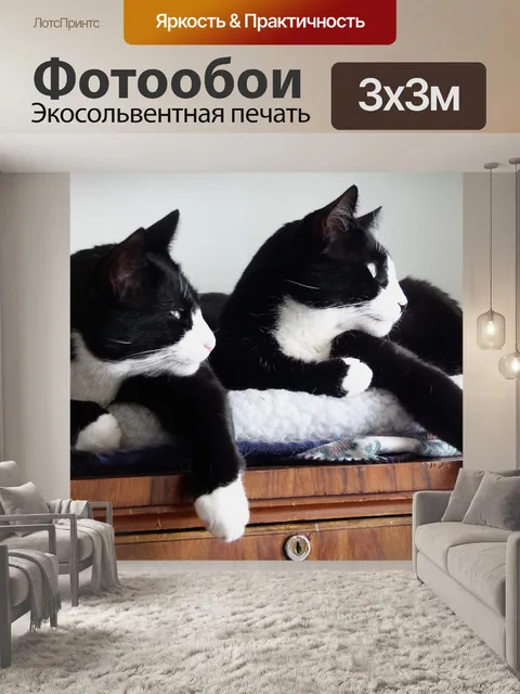Фотообои Кошки