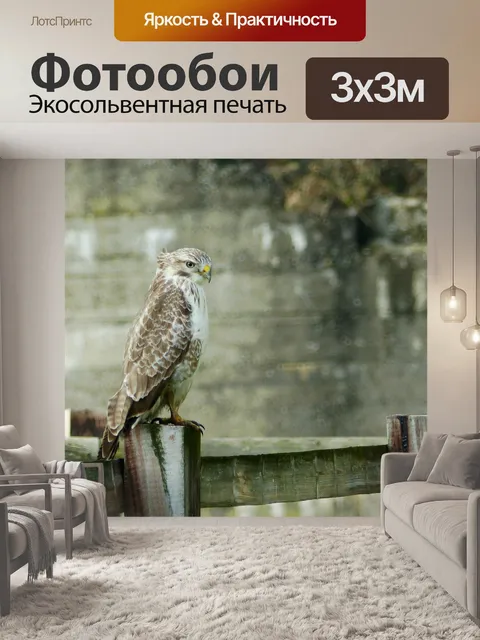 Фотообои Канюк