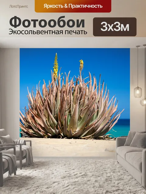 Фотообои Алоэ вера и море