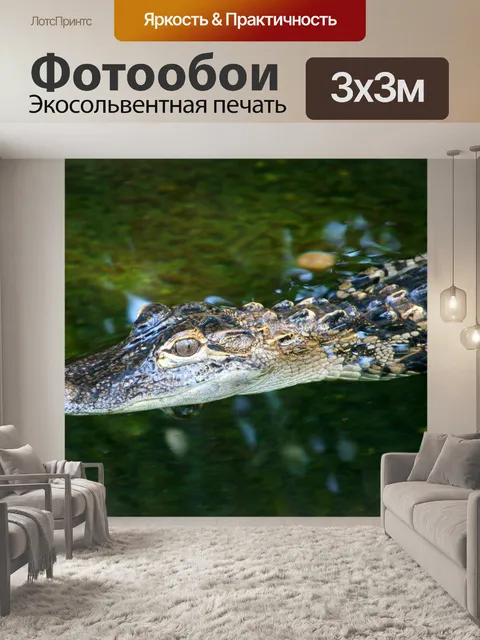 Фотообои Молодой аллигатор