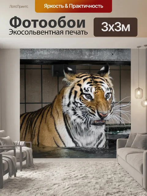 Фотообои Тигр