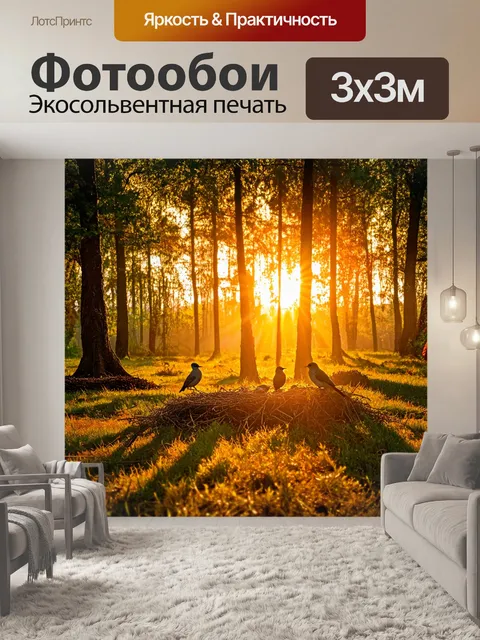 Фотообои закат в лесу, солнце прорывается сквозь густые деревья, яркие золотые лучи заполняют просветы, птицы…