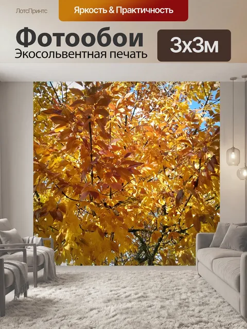 Фотообои Осень