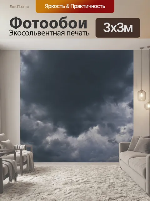 Фотообои туча