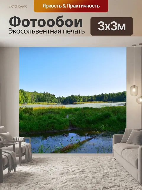 Фотообои Лес