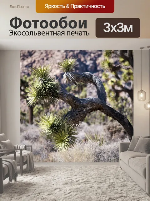 Фотообои Деревья кактусы Джошуа