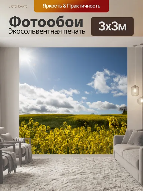 Фотообои Область желтого рапса