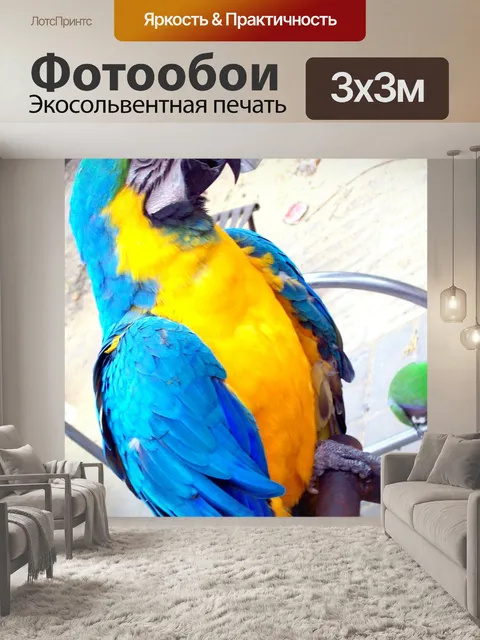 Фотообои Красивая ара попугай