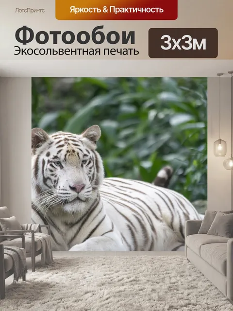 Фотообои белый тигр