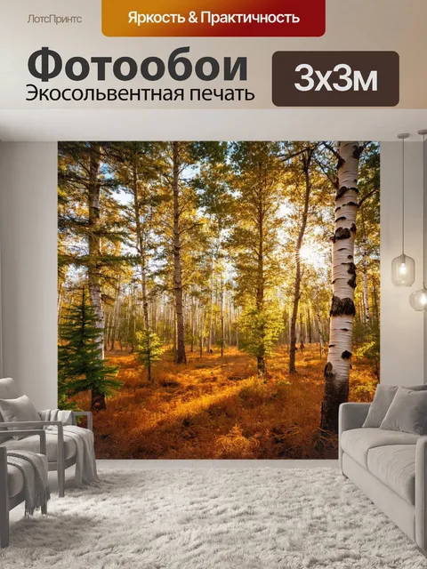Фотообои коричневый лесной пейзаж, с березами и хвойными деревьями, свет пробивается сквозь листву