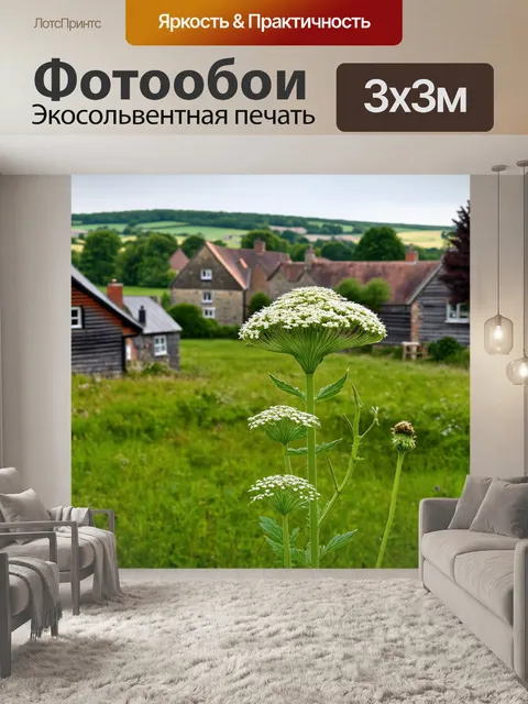 Фотообои борщевик на фоне старинной деревни