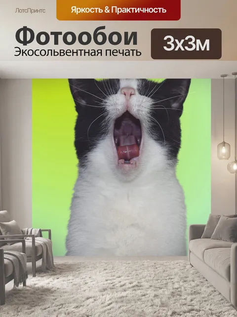 Фотообои Кот
