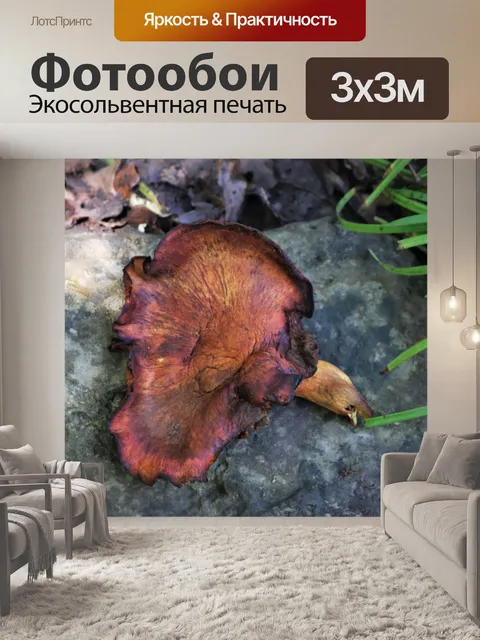 Фотообои Джек-О-Фонарь грибной крупным планом