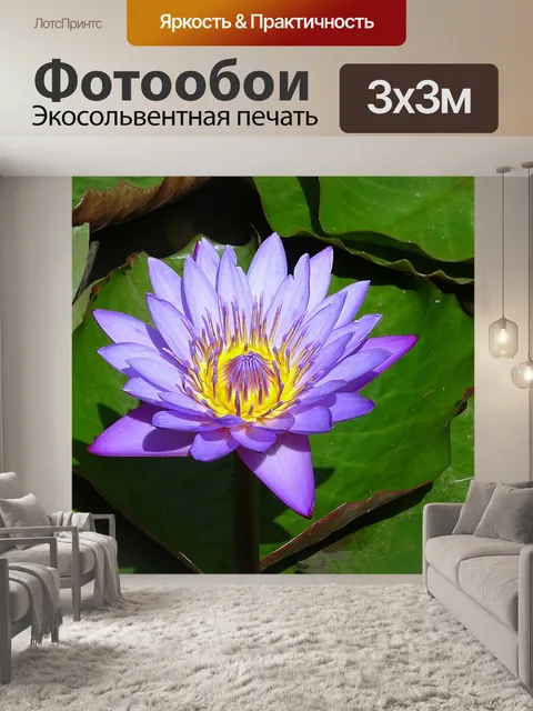 Фотообои Лили